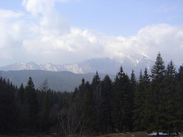 Transylvanian mountains
