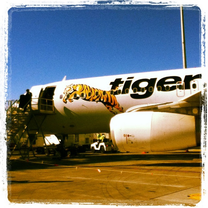 Tigger Airways &#8226; Riding the Tiger from Mel2S