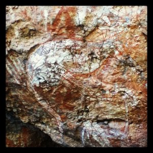 Aboriginal Rock Art, Kangaroo