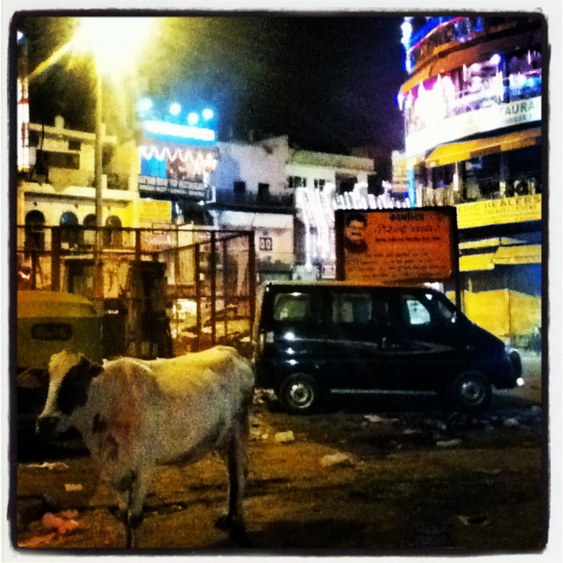 Typical Street Scene in New Delhi