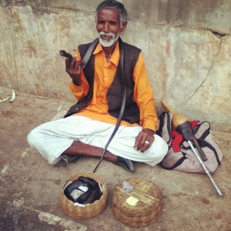 CobraMan, Jaipur, India