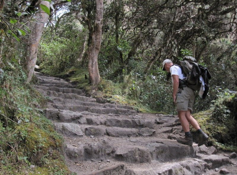 Inca trail day 2