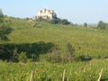 View of the Castle from the Winery