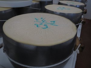 Parmigiano Reggiano Aging