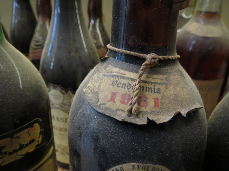 Old old old wine collection at the truffle factory