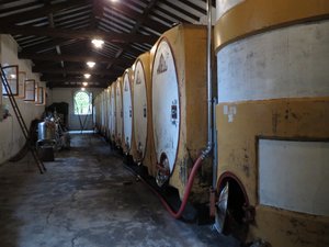 Lambrusco Winery