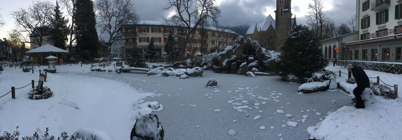 Frozen Pond in Interlaken