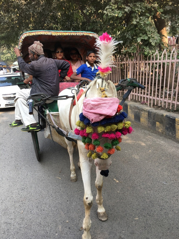 Our transport to the Taj Mahal