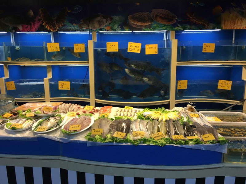 Lots of fresh fish to chose from!
