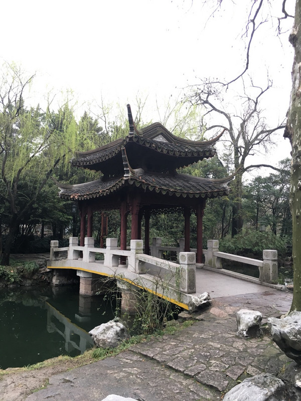 Chinese gardens 