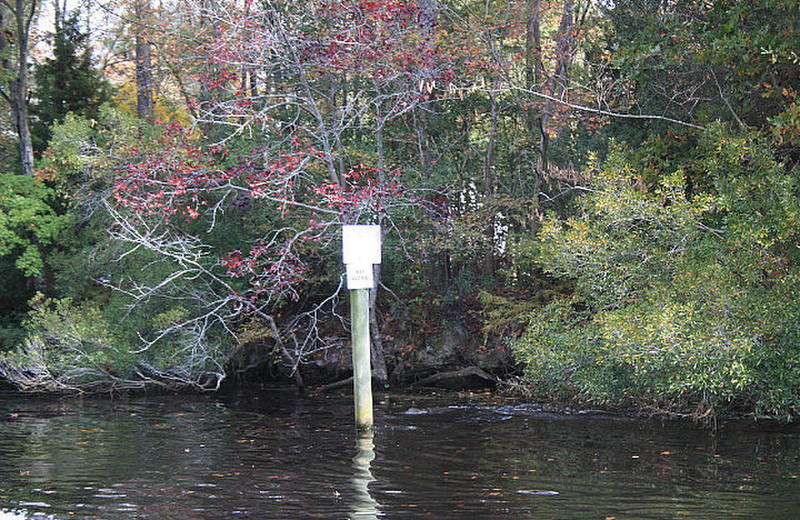 Mile Markers along the Dismal Swamp