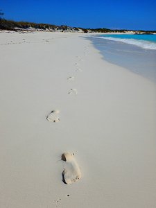 Leave nothing but Footprints