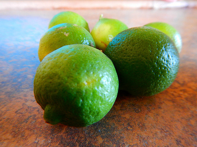 Terry gave us sweet key limes from his tree. 