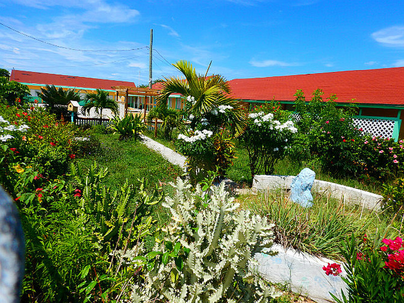 School gardens