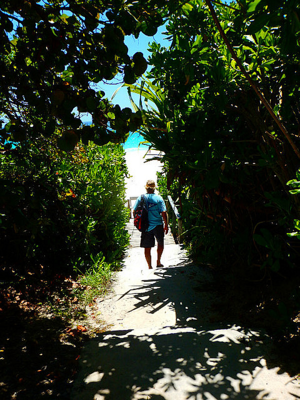 Walking down to the &quot;pink sand&quot; beach.