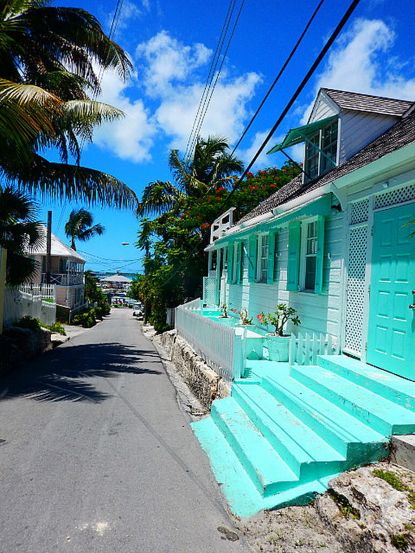 Love the colourful homes!
