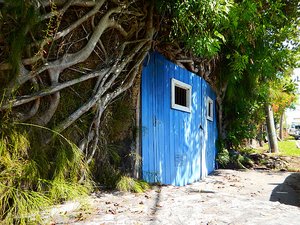 Cool garage in the coral and roots.