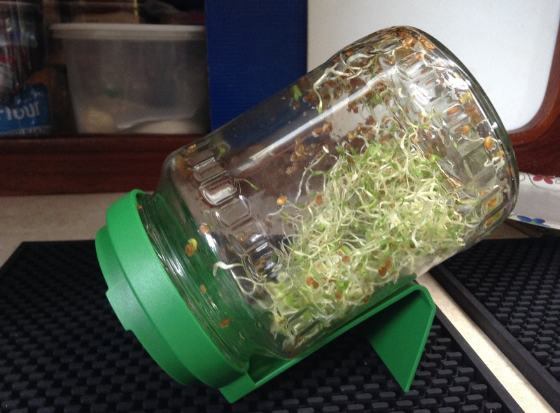 Did I mention that I grow alfalfa?