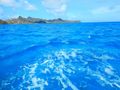 The fabulous blues of the Grenadines.