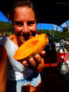 This is what a papaya should taste like!