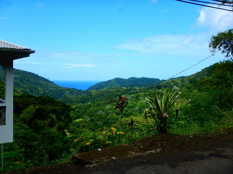 Grenada is green and lush!
