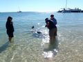 David Feeding Dolphin