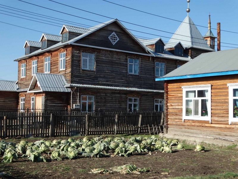 House and cabbages