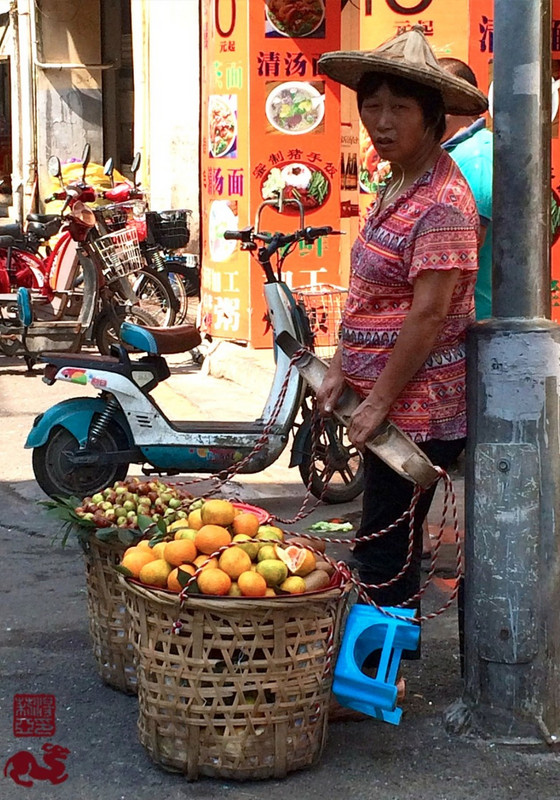 Oranges - Xiamen Market.