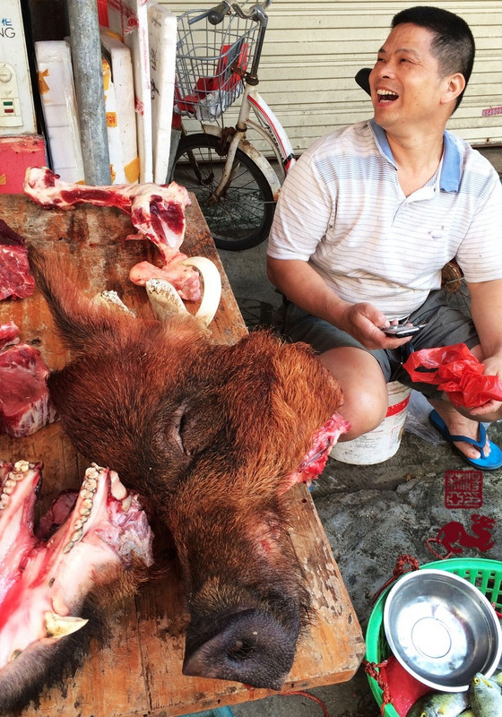 Pig head - Xiamen Market.
