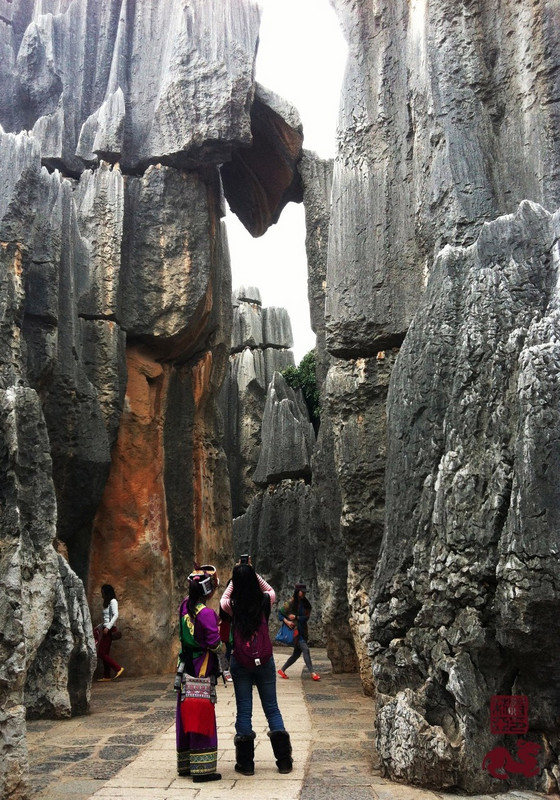 Stone Forest. Just hanging.
