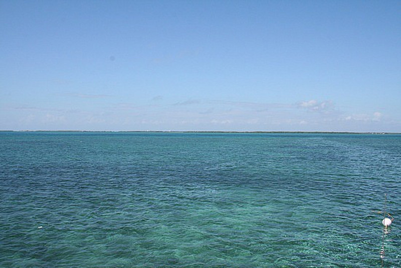 Snorkling in Belize