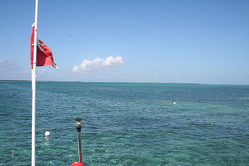Snorkling in Belize