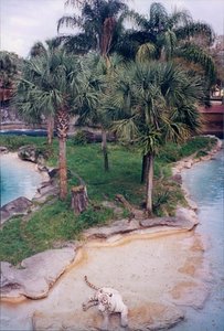 Busch Gardens - Tampa