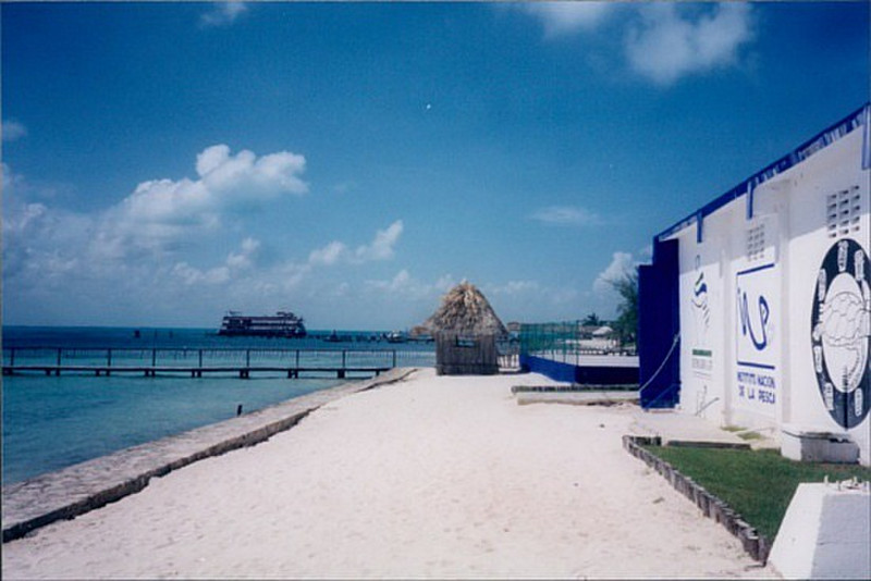 Isle Msyeres