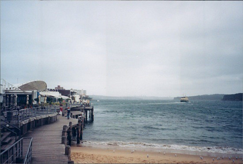 North Manly Beach
