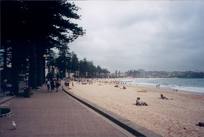 North Manly Beach