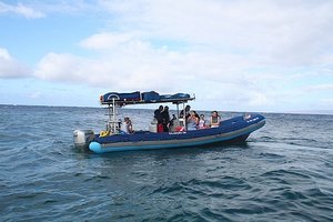 Zodiac Snorkling Trip - Bluewater