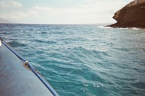 Maui - Zodiac Snorkling Trip