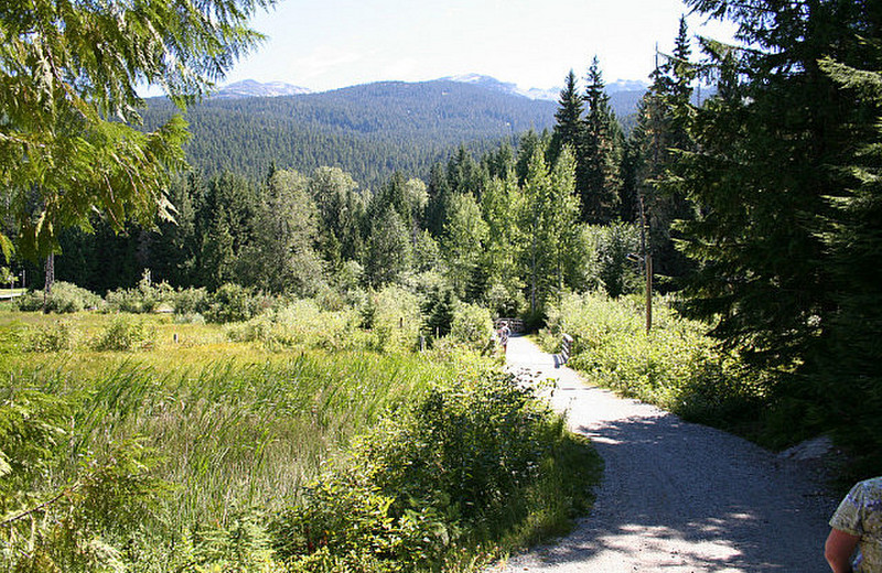 Whistler Walking Trail