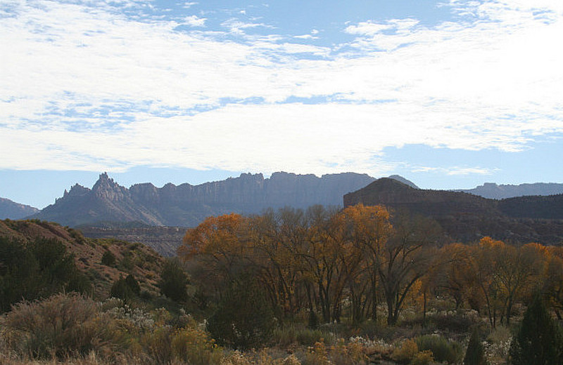 Drive to Zion National Park