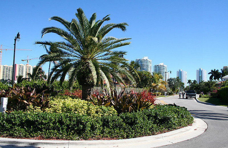 Sightseeing Miami