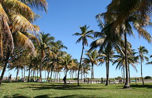 Sightseeing South Beach Miami
