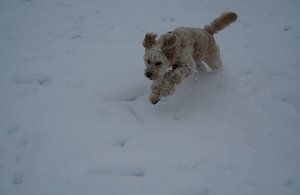 Playing in snow on Snow Day!!!!