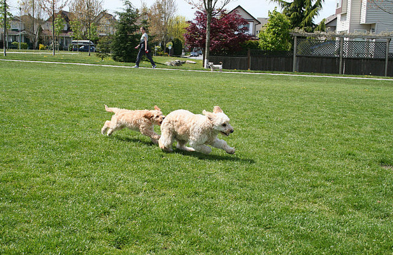 Play time at Hillcrest Park