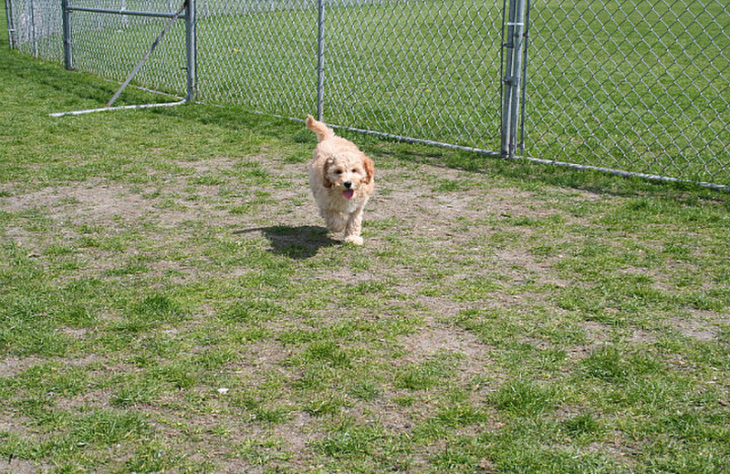 Play time at Hillcrest Park