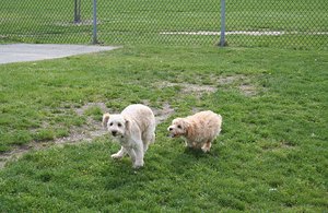 More fun at Hillcrest Park!