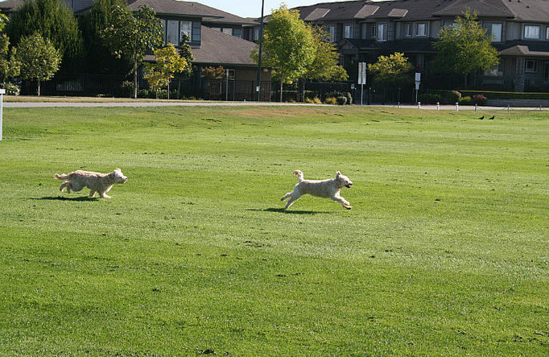 More Playtime at Hillcrest Park