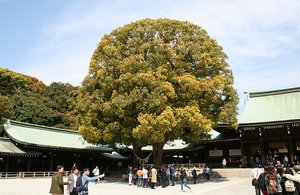 Meiji Park and Shrine