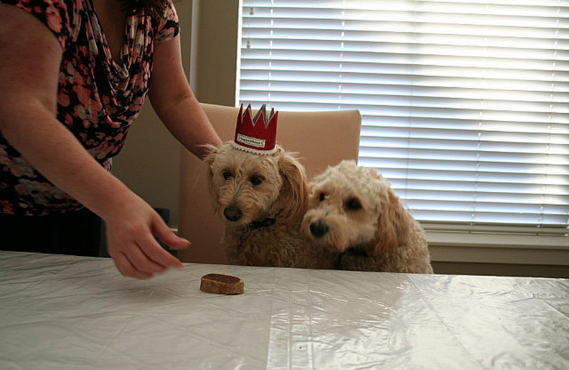 Lola and Maggie&#39;s birthday