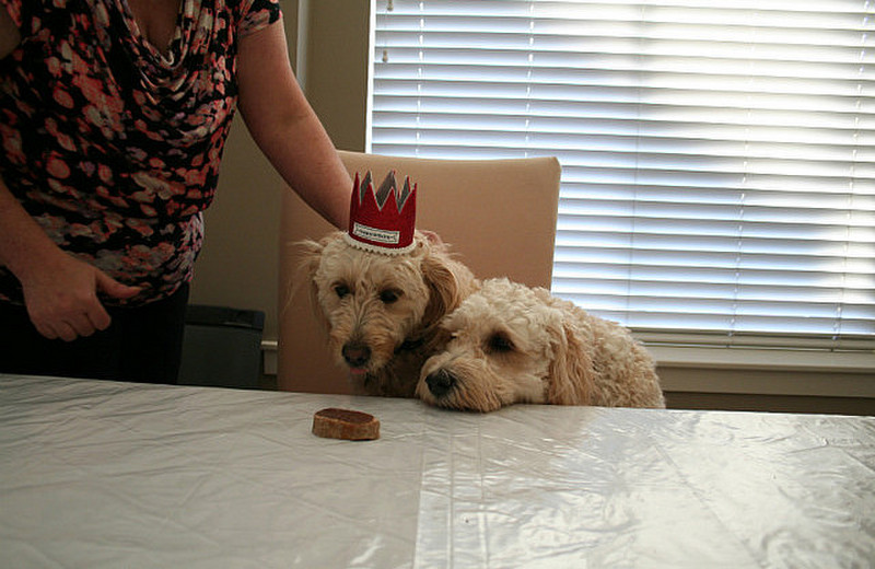 Lola and Maggie&#39;s birthday